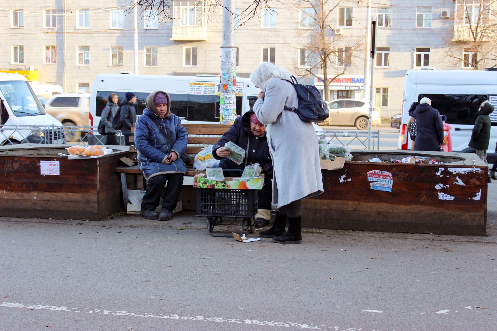 Округ галле фото