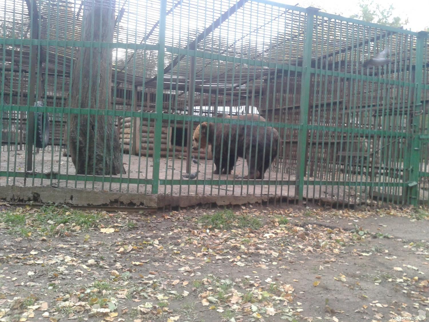 Лесопарк имени лесоводов башкирии. Зверинец в Уфе парк лесоводов. Парк лесоводов Уфа зоопарк. Зоопарк в парке лесоводов в Уфе. Лесопарк лесоводов Башкирии.